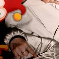 Attractiefoto carnaval festival, ha sido reportado por De Efteling con iLost