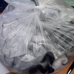 Kleding Kleding, zoals gemeld door Inntel Hotels Amsterdam Centre met iLost