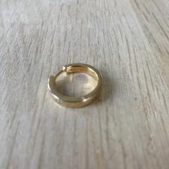 gouden oorbel, som rapporterats till iLost