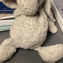 Hračka bunny, ako bolo nahlásené MEININGER Hotel Copenhagen pomocou iLost