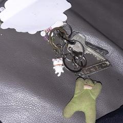 Sleutelbos, gerapporteerd met iLost