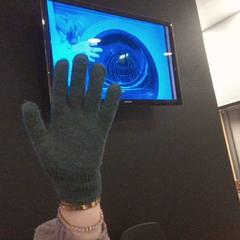 Guant dark green, segons ha informat MEININGER Hotel Vienna Downtown Franz mitjançant iLost