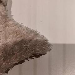 Ölelős pofon, amint azt De Efteling az iLost segítségével jelentette.