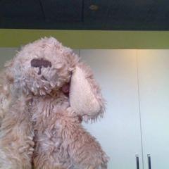 Peluix, segons ha informat MEININGER Hotel Lyon Centre Berthelot mitjançant iLost