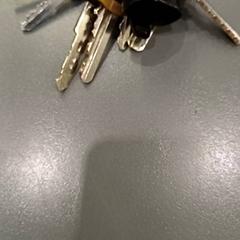 Sleutelbos divers, zoals gemeld door Qbuzz GD Groningen HS met iLost