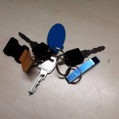 Llaves, ha sido reportado por Arriva Oost-Brabant con iLost