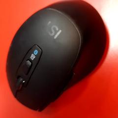 Rato, segundo informou UvA REC usando iLost