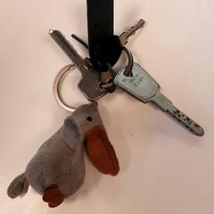 Keychain, as reported by Diergaarde Blijdorp using iLost