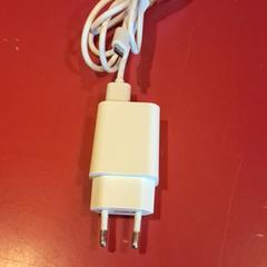 Adapter Micro B, as reported by Fjord Line – MS Stavangerfjord / Bergensfjord using iLost
