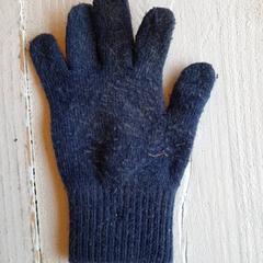 Kesztyű Donkerblauw, amint azt DierenPark Amersfoort az iLost segítségével jelentette.