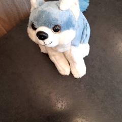 Peluche, a été signalé par Rotterdam The Hague Airport utilisant iLost