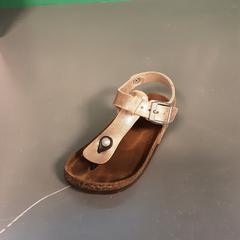 Sandaal, rapporterat av Diergaarde Blijdorp med iLost