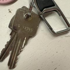 Sleutel, zoals gemeld door GVB met iLost