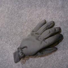 Handschuh, gemeldet von SnowWorld Landgraaf über iLost