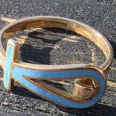 Ring, gerapporteerd met iLost