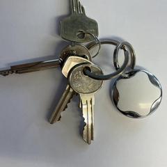 Sleutel Sleutel bos met tag, zoals gemeld door Familiepark Drievliet met iLost