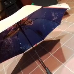 Umbrella Rood, as reported by Apenheul using iLost