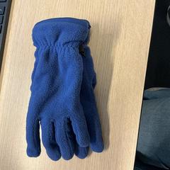 Hanske, som rapportert av Gemeente Arnhem ved bruk av iLost