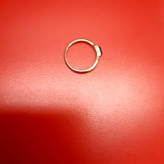 Eraztuna, gisa salatu by UvA REC iLost erabiliz