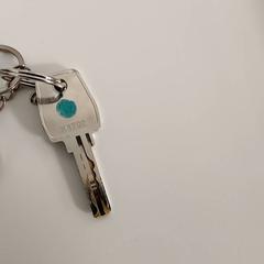 Gakoa, gisa salatu by Regio West-Vlaanderen iLost erabiliz