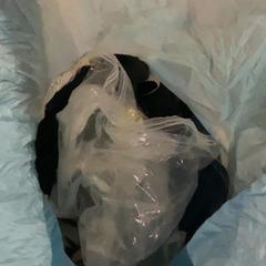 Bag, as reported by MEININGER Hotel Salzburg City Center using iLost