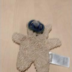 Pitet, segons ha informat IKEA Zwolle mitjançant iLost