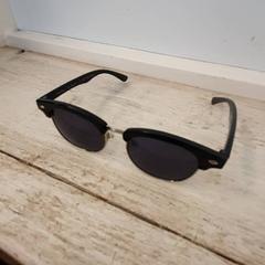 Gafas de sol Zwart, ha sido reportado por DierenPark Amersfoort con iLost