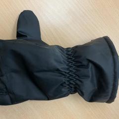 Luva hans, como reportado por Schönbrunn "Group Center" utilizando o iLost