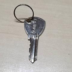 Gakoa, gisa salatu by Arriva Oost-Brabant iLost erabiliz