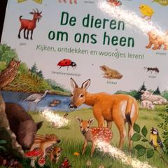 책, iLost를 사용하여 Rotterdam The Hague Airport에 보고됨