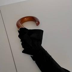 Deštník Zwart, jak nahlášeno Regio Antwerpen - Brussel pomocí iLost