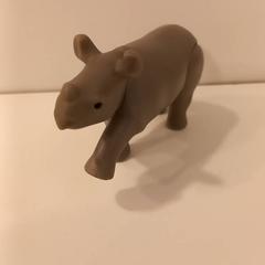 Neushoorn, como reportado por Arriva Limburg Noord utilizando o iLost