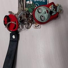 Chaveiro, segundo informou Arriva Limburg Zuid usando iLost