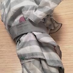 Paraugas Grijs/wit, segundo informou Qbuzz Fryslân usando iLost