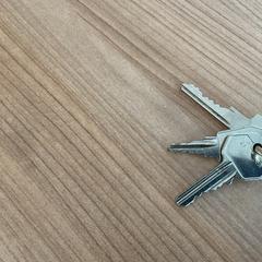 Nøkkelring, som rapportert av Breng Arnhem ved bruk av iLost