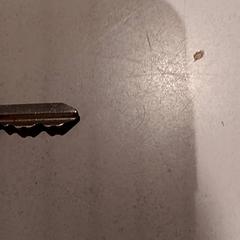 Chave, como reportado por De Efteling utilizando o iLost