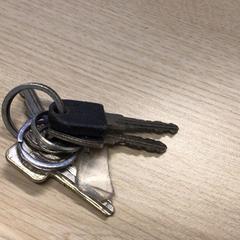 المفاتيح، كما تم الإبلاغ عنه بواسطة Gemeente Arnhem عبر iLost