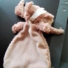 Knuffel, como reportado por Apenheul utilizando o iLost