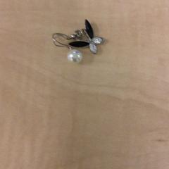 Orecchino, come riportato da Haaglanden Medisch Centrum utilizzando iLost