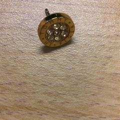 イヤリング がiLostで Canisius-Wilhelmina Ziekenhuis によって報告されました