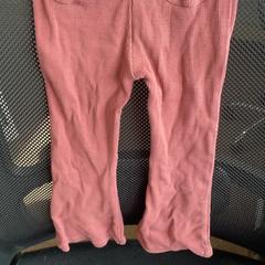 바지 Roze, iLost를 사용하여 Burgers' Zoo에 보고됨