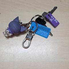 Chaves, segundo informou Arriva Oost-Brabant usando iLost