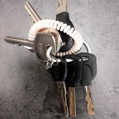 키체인, iLost를 사용하여 Qbuzz servicepunt  Emmen에 보고됨