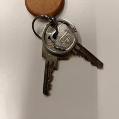 المفاتيح، كما تم الإبلاغ عنه بواسطة Gemeente Hilversum عبر iLost