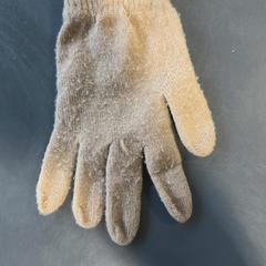 Kesztyű Beige, amint azt Burgers' Zoo az iLost segítségével jelentette.