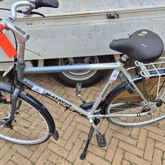 Herrenfahrrad, gemeldet von Gemeente Roermond über iLost