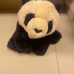 Mysig leksak Panda, rapporterat av Pathé Schiedam med iLost