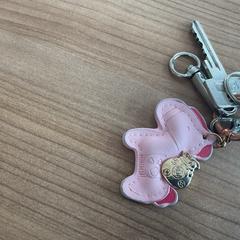 Brelok do kluczy, zgłoszono przez Breng Arnhem przy użyciu iLost