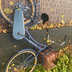 Fiets, som rapporterats till iLost
