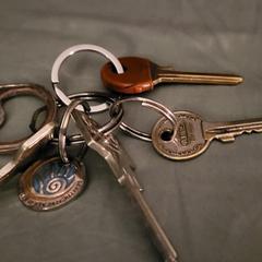 sleutelbos, ako bolo nahlásené iLost